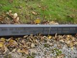 image of grave number 199100
